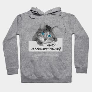 Any Questions? Cute Blue Eyes Cat Hoodie